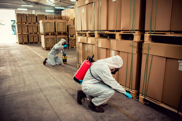 Best Pest Inspection Near Me  in Crestline, CA