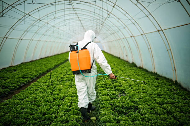 Best Affordable Pest Control Services  in Crestline, CA