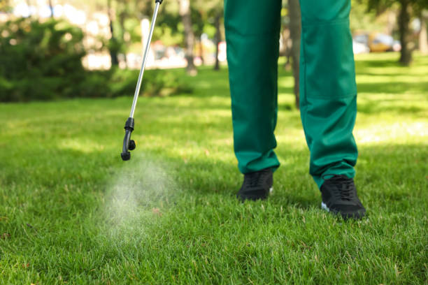 Best Local Pest Control Services  in Crestline, CA