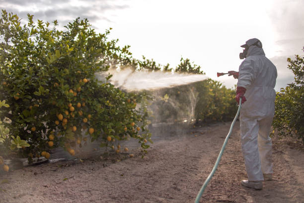 Best Pest Control Near Me  in Crestline, CA
