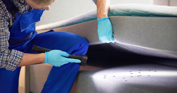 Best Pest Removal Services  in Crestline, CA