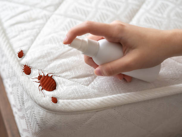 Best Best Pest Control Companies  in Crestline, CA