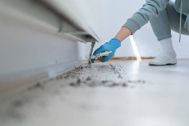 Best Residential Pest Control  in Crestline, CA